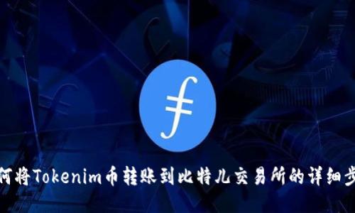 如何将Tokenim币转账到比特儿交易所的详细步骤