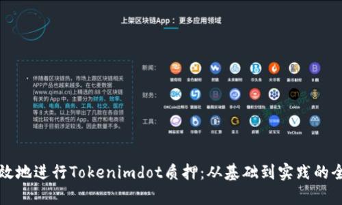 如何有效地进行Tokenimdot质押：从基础到实践的全面指南