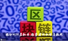 揭秘MSE虚拟币：投资者的