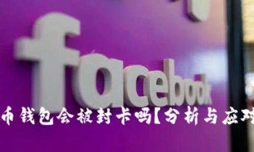 虚拟币钱包会被封卡吗？分析与应对策略