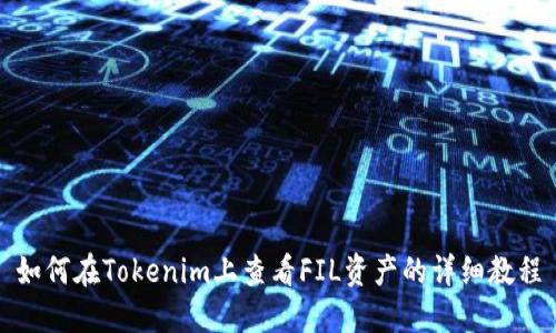如何在Tokenim上查看FIL资产的详细教程