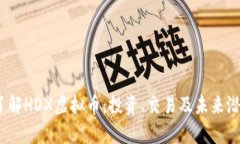 :深入了解HDX虚拟币：投资