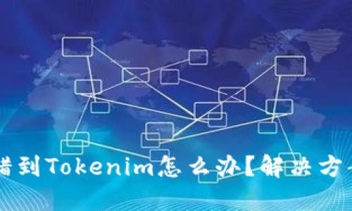 币转错到Tokenim怎么办？解决方案详解