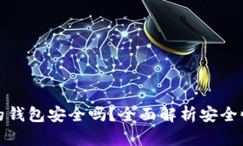 存放虚拟币的钱包安全吗？全面解析安全性与风险防护