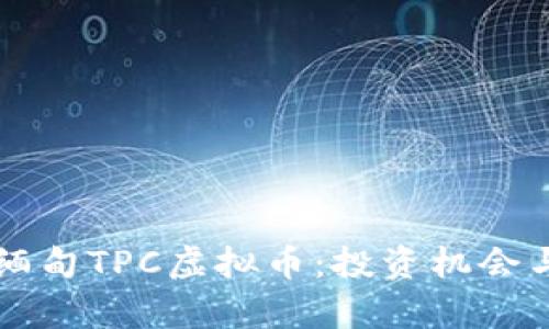 深入了解缅甸TPC虚拟币：投资机会与风险分析