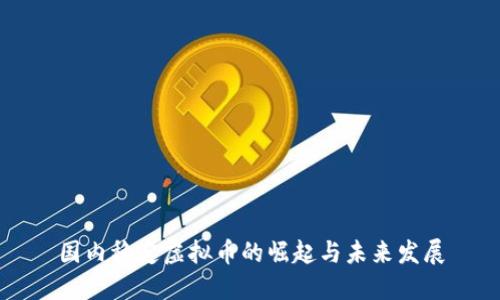 国内稳定虚拟币的崛起与未来发展