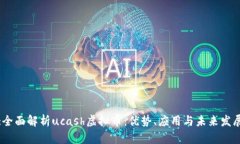 :全面解析ucash虚拟币：优