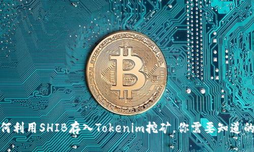 : 如何利用SHIB存入Tokenim挖矿，你需要知道的一切