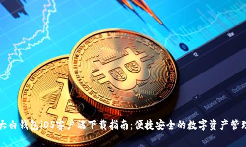 大白钱包iOS客户端下载指南：便捷安全的数字资产管理