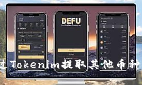 如何通过Tokenim提取其他币种的资金？