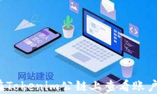 
如何在Tokenim公链上查看账户余额？