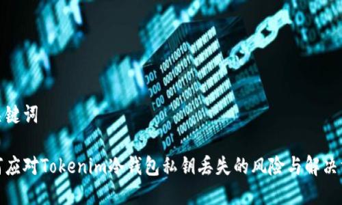 和关键词

如何应对Tokenim冷钱包私钥丢失的风险与解决方案