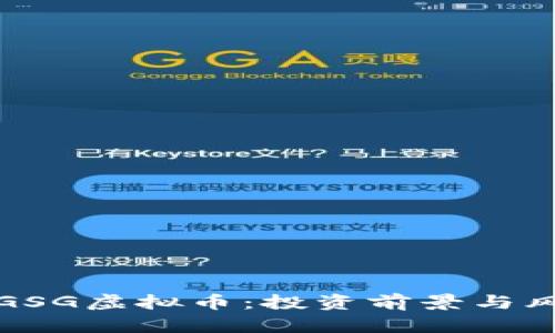 : 了解GSG虚拟币：投资前景与风险分析