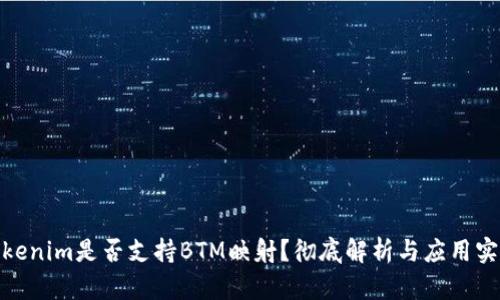 Tokenim是否支持BTM映射？彻底解析与应用实例