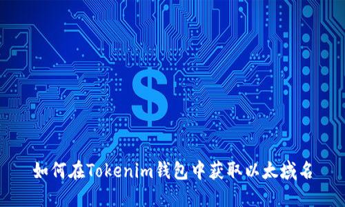 如何在Tokenim钱包中获取以太域名