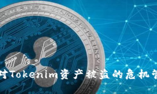 如何应对Tokenim资产被盗的危机管理指南