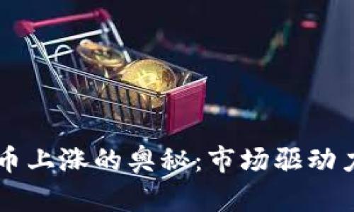 虚拟币上涨的奥秘：市场驱动力分析