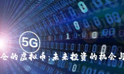 马斯克重仓的虚拟币：未来投资的机会与风险分析