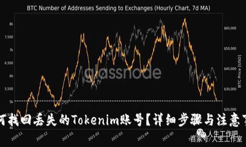 如何找回丢失的Tokenim账号？详细步骤与注意事项