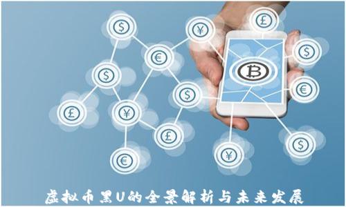 
虚拟币黑U的全景解析与未来发展