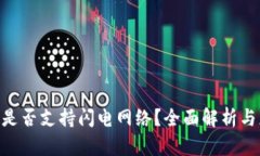 Tokenim是否支持闪电网络？