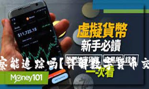 Tokenim转账警察能追踪吗？详解数字货币交易透明性与隐私