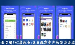 全面了解PAI虚拟币：未来