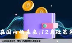 虚拟币在国内的未来：1