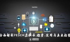全面解析PESCM虚拟币：投资