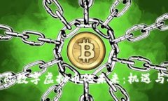 : 国际数字虚拟币的未来：