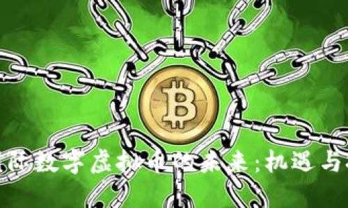 : 国际数字虚拟币的未来：机遇与挑战