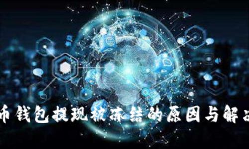 虚拟币钱包提现被冻结的原因与解决方案