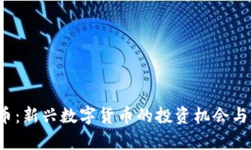 TIS虚拟币：新兴数字货币的投资机会与风险分析