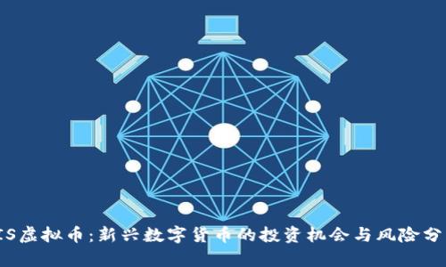 TIS虚拟币：新兴数字货币的投资机会与风险分析