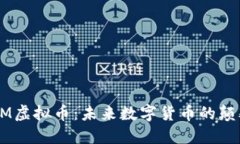 深入了解SOOM虚拟币：未来