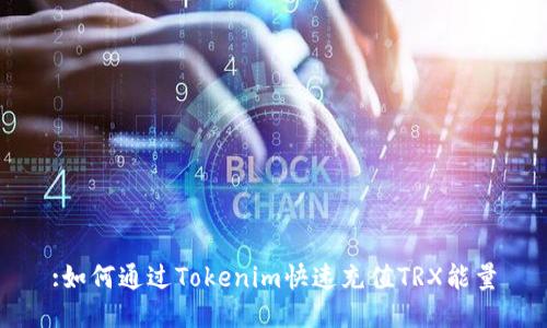 :如何通过Tokenim快速充值TRX能量