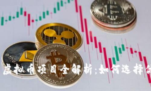 2023年最新虚拟币项目全解析：如何选择优质投资机会