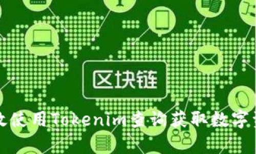 如何有效使用Tokenim查询获取数字资产信息