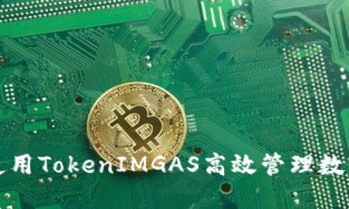如何使用TokenIMGAS高效管理数字资产