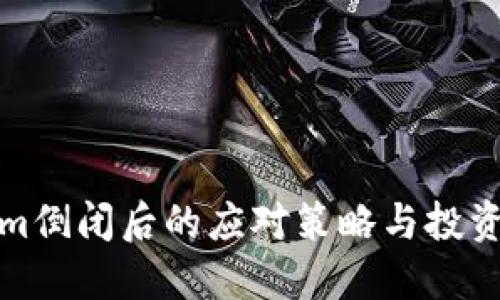 Tokenim倒闭后的应对策略与投资者咨询