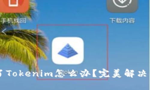 手机掉了Tokenim怎么办？完美解决方案详解