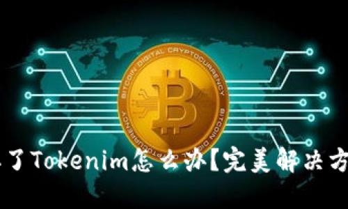 手机掉了Tokenim怎么办？完美解决方案详解