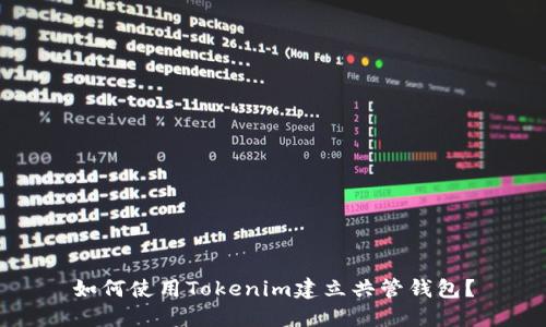 如何使用Tokenim建立共管钱包？