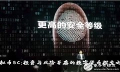 虚拟币BC：投资与风险并存的数字货币探索之旅