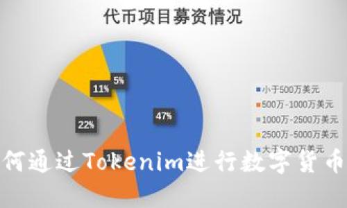 : 如何通过Tokenim进行数字货币发行