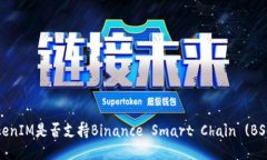 TokenIM是否支持Binance Smar