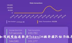 如何利用极速软件TokenIM提