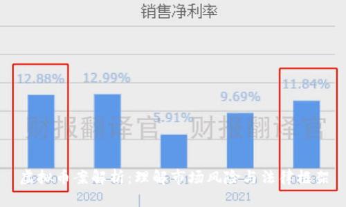 虚拟币案解析：理解市场风险与法律框架