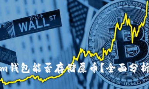 Tokenim钱包能否存储屎币？全面分析与解答