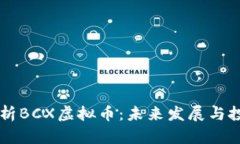 深入解析BCX虚拟币：未来